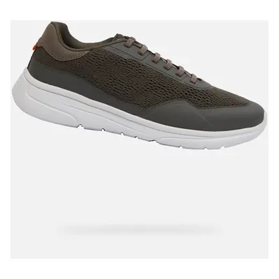 Khaki men's sneakers Geox Klaiver - Men's