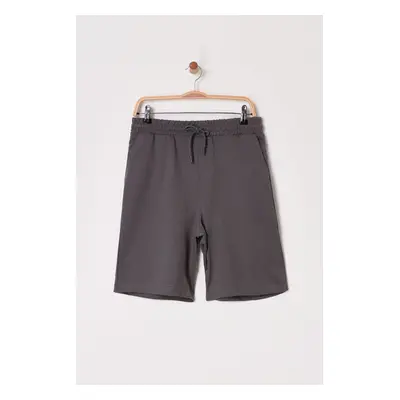 Trendyol Smoke Brown Basic Regular Mid Length/Normal Cut Plain Shorts