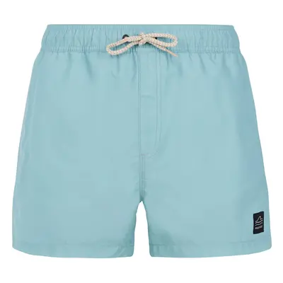 Men's beach shorts Protest PRTSTILO