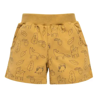 Pinokio Shorts Secret Forest