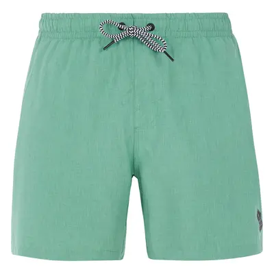 Men's beach shorts Protest DAVEY