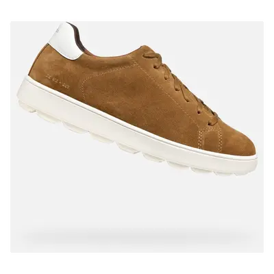 Light brown men's sneakers Geox Spherica ECUB-1 - Men