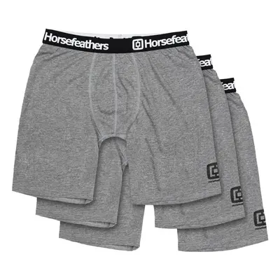 3PACK men's boxers Horsefeathers Dynasty long