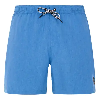 Men's beach shorts Protest DAVEY