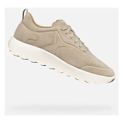 Beige men's sneakers Geox Xtors - Men's