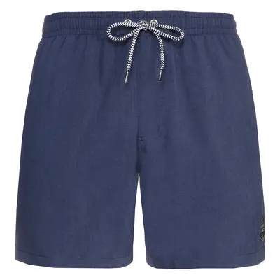 Men's beach shorts Protest DAVEY