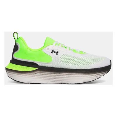 Men's shoes Under Armour UA Infinite Elite - Men's