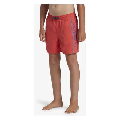 Boys' shorts swimsuit Quiksilver EVERYDAY VERT VOLLEY