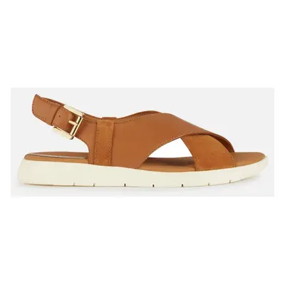 Brown women's sandals Geox Dandra - Women's