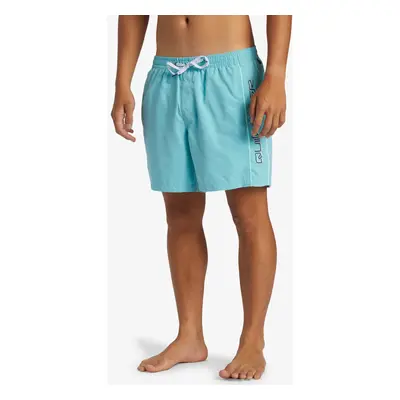 Men's shorts swimwear Quiksilver EVERYDAY VERT VOLLEY