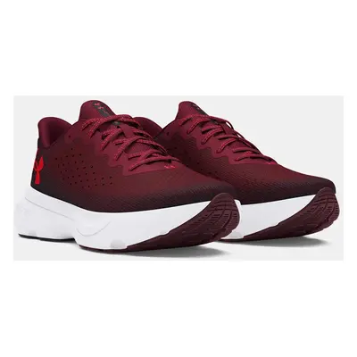 Men's shoes Under Armour Infinite