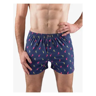 Men's briefs Gino multicolored