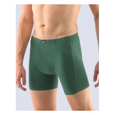 Men's boxers Gino green