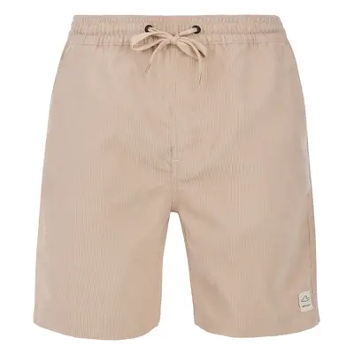 Men's shorts Protest PRTULEY