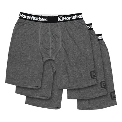 3PACK men's boxers Horsefeathers Dynasty long