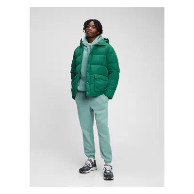 GAP Winter Hooded Jacket - Men