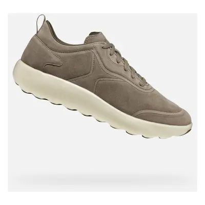 Light grey men's sneakers Geox Xtors - Men's