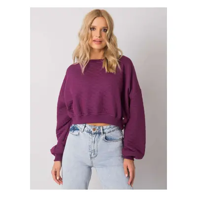 Sweatshirt-RV-BL-7450.64-dark purple