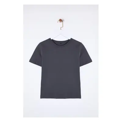 Trendyol Anthracite 100% Cotton Basic Crew Neck Knitted T-Shirt