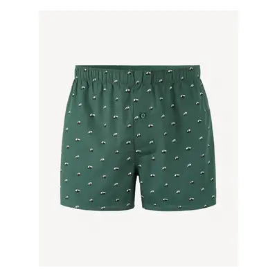 Celio Jiwopanda Briefs - Men's