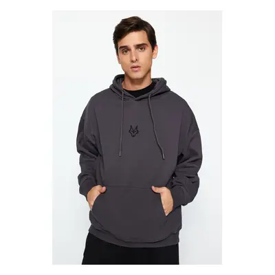 Trendyol Anthracite Regular/Normal Cut Hooded Fleece/Warm Sweatshirt