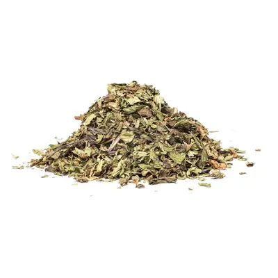 NANA MENTA (Mentha spicata), 10g