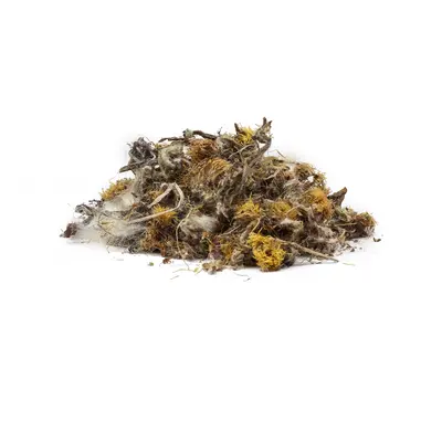 MARTILAPU VIRÁGA BIO (Tussilago farfara) - gyógynövény, 10g