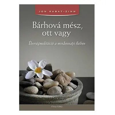 Jon Kabat-Zinn - Bárhová mész, ott vagy