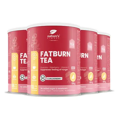 FatBurn Tea 4x