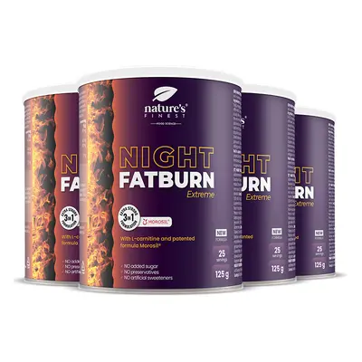 Night FatBurn Extreme 4x