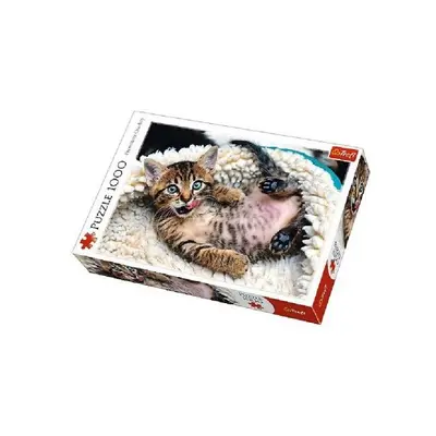 Puzzle Boldog macska 1000 db 68,3x48cm