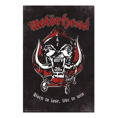 Poszter Motörhead - BORN TO LOSE