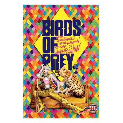 Poszter Birds of pray - DC COMICS - PYRAMID POSTERS