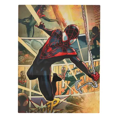 Poszter (fém) Spiderman - MARVEL - Poster Plate