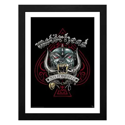 Kép Motörhead - Pig Tattoo