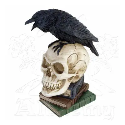 dekoráció ALCHEMY GOTHIC - POE Raven - V17