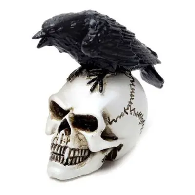 Dekoráció ALCHEMY GOTHIC - Raven Skull