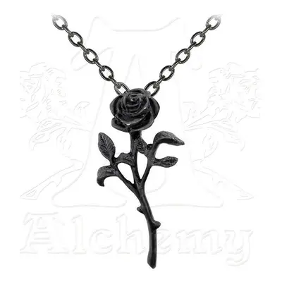 nyakörv The Romance Of The Black Rose - ALCHEMY GOTHIC - P695