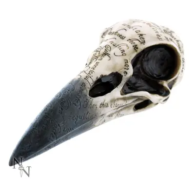 Edgar's Raven Skull dekoráció- B1986F6