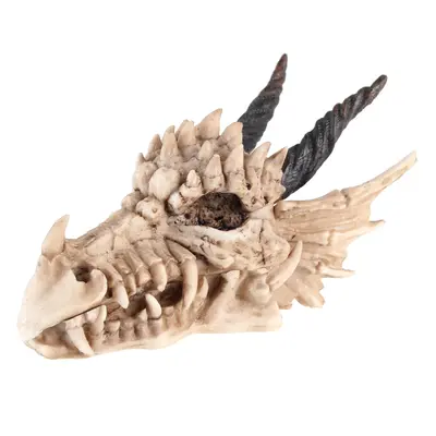 doboz (dekoráció) Dragon Skull - AL50057