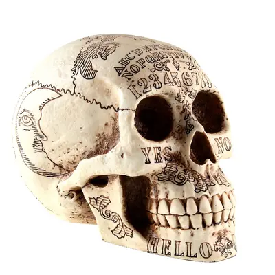 dekoráció Spirits Skull