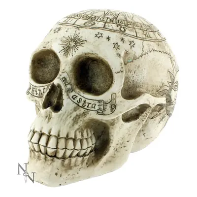 dekoráció Asztrológiai Skull