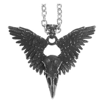 medál Steel Skull Raven Crow