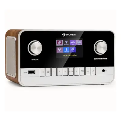 Auna Connect 100 MKII, Internetes rádió, Media Player, Bluetooth, DAB/DAB+, alkalmazásvezérlés