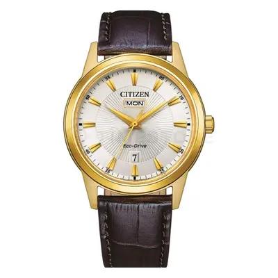 Citizen Eco-Drive AW0102-13AE