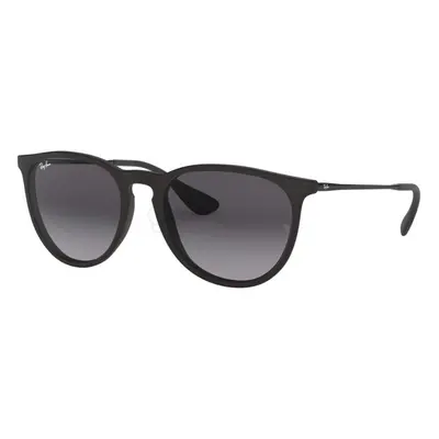 Ray-Ban Erika Classic RB4171 622/8G 54