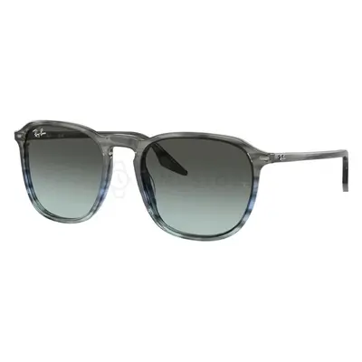 Ray-Ban RB2203 1391GK 55