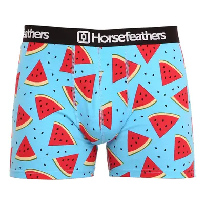 Férfi boxeralsó Horsefeathers Sidney Melon (AM164B)