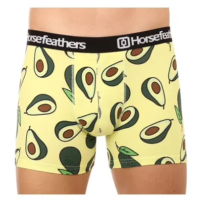 Férfi boxeralsó Horsefeathers Sidney Avocado (AM164K)