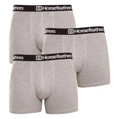 3PACK Dynasty heather gray Horsefeathers férfi boxeralsó (AM067C)